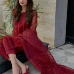 Organza Lawn inner Embroidered 3 pc