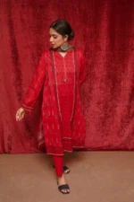 Urge khaddar Printed 3PC (D-601) - Image 2