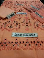 Limelight LT-204 Embroidered Organza Two Piece Collection - Image 2